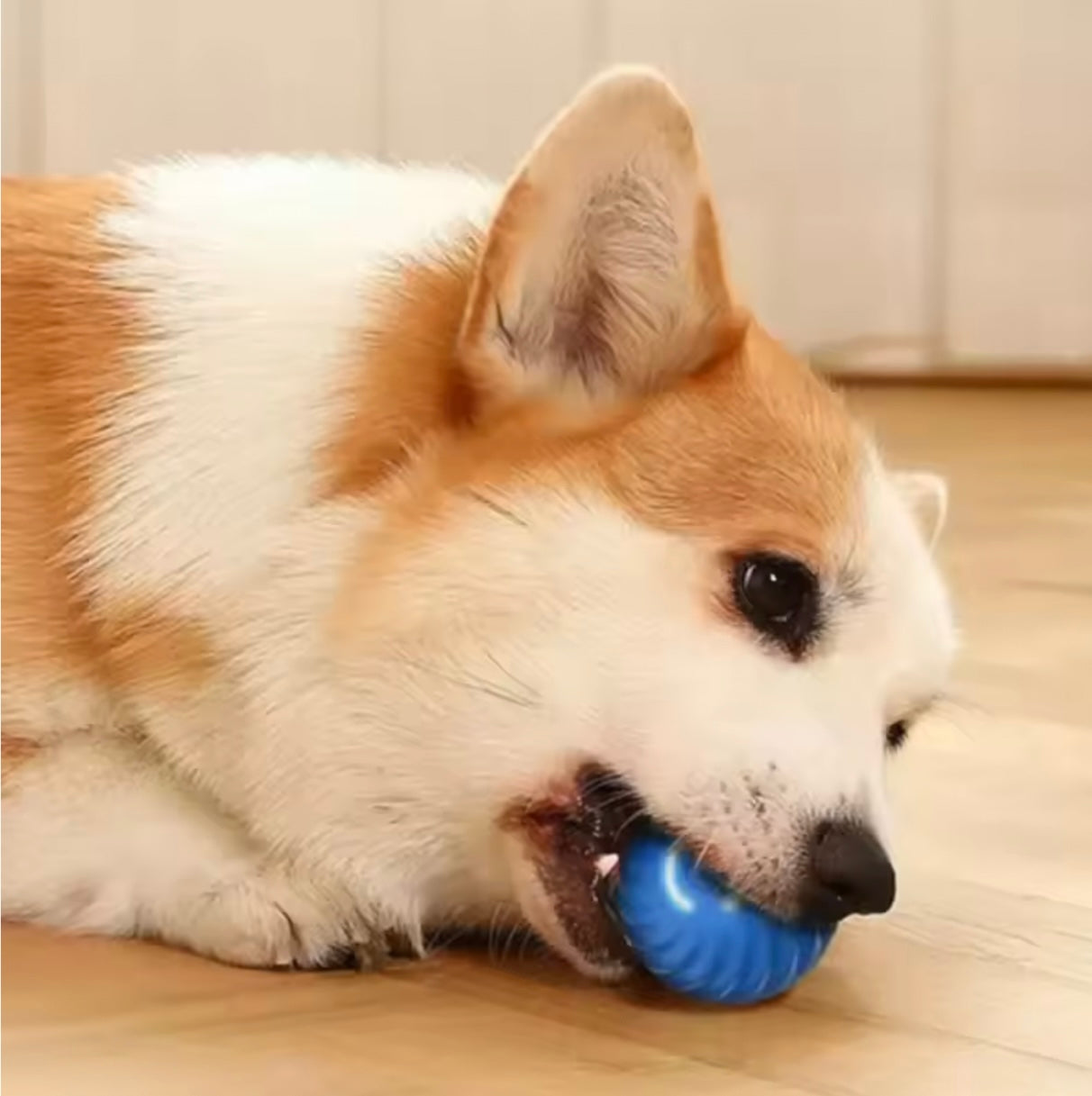 ThePawsnTails™ Smart Interactive Pet Toy Ball
