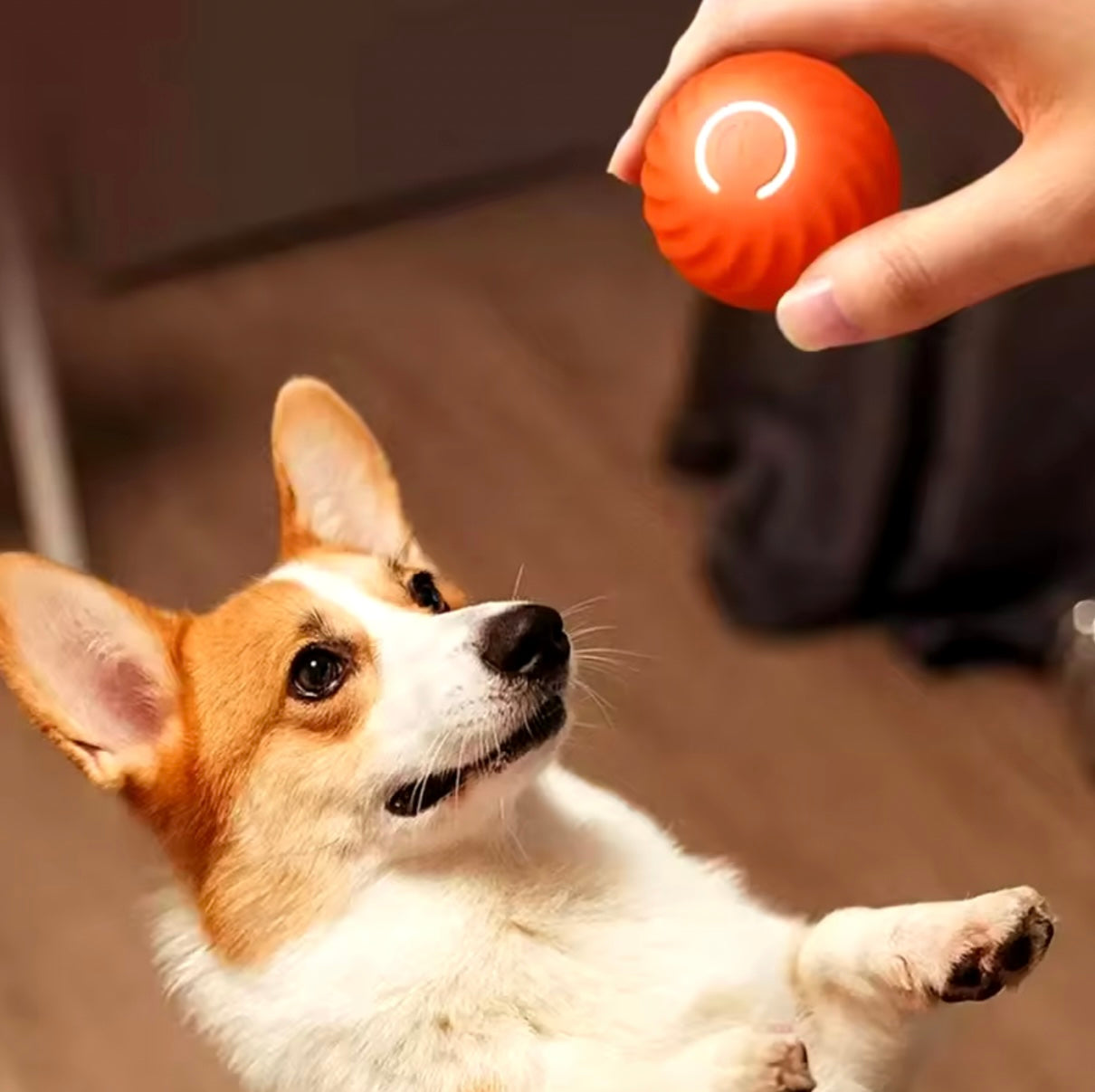 ThePawsnTails™ Smart Interactive Pet Toy Ball