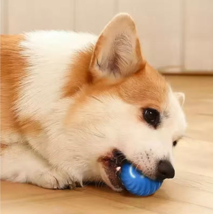 ThePawsnTails™ Smart Interactive Pet Toy Ball